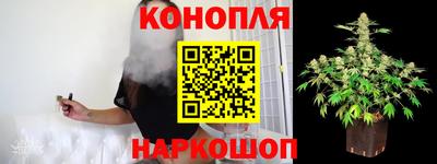кокс Можга