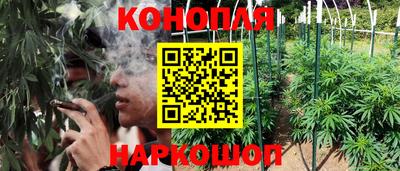 кокс Можга