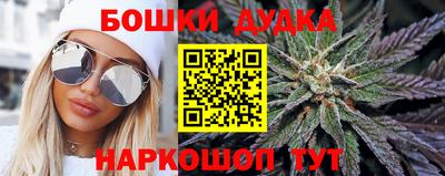 кокс Можга
