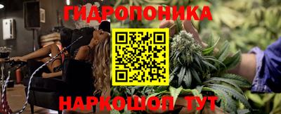 кокс Можга