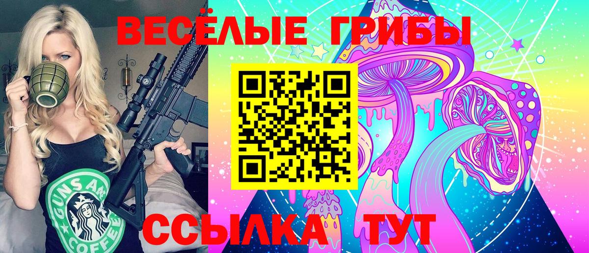 Галлюциногенные грибы ЛСД Черкесск